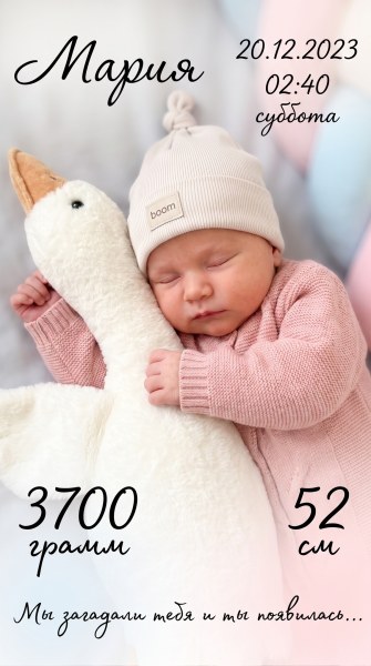 Пример нейрофотосессии по промпту № 13399